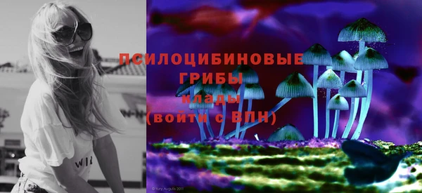 ALPHA-PVP Елизово