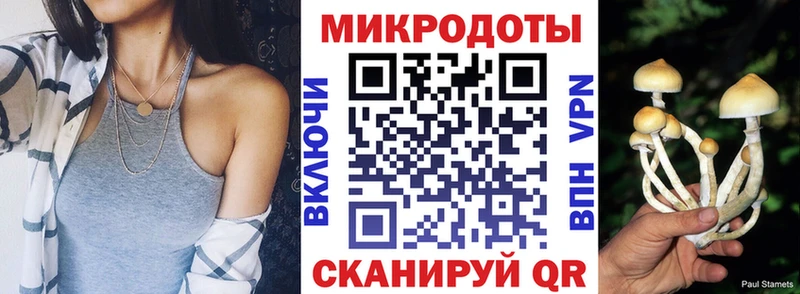 Купить где  Калязин  Галлюциногенные грибы Psilocybine cubensis 
